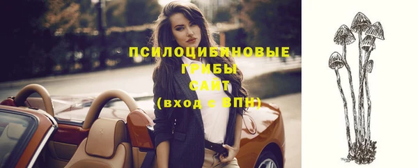 бутират Богданович