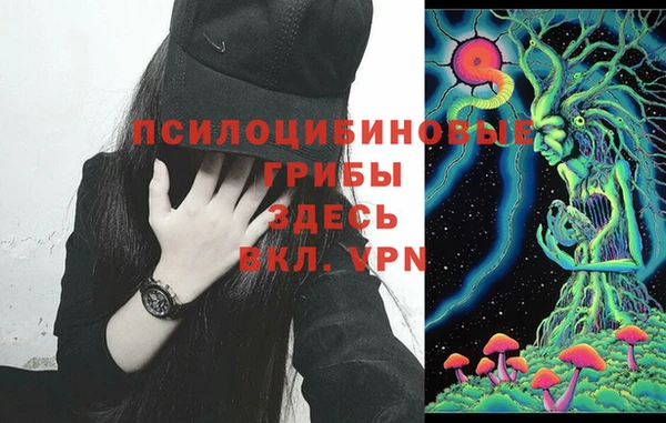 герыч Богородск