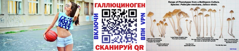 Галлюциногенные грибы Psilocybine cubensis  Купить  Приморско-Ахтарск 